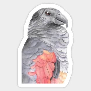 Dracula pesquet parrot watercolor painting goth Sticker
